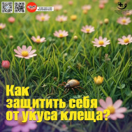 Как защитить себя от укуса клеща